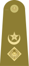 Lieutenant Colonel Insignia