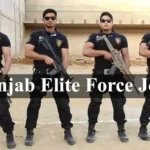 Punjab Elite Force Jobs
