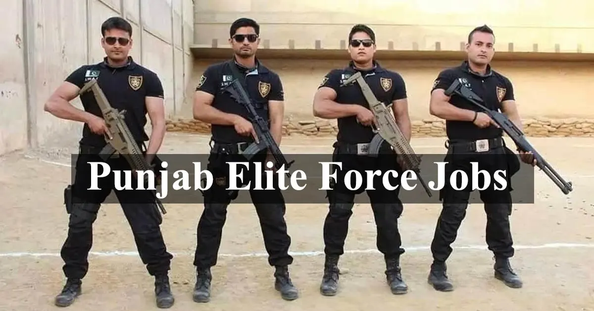 Punjab Elite Force Jobs