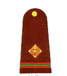 naib subedar pakistan army insignia