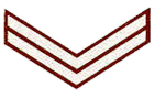 Naik insignia