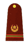 subedar major pakistan army insignia